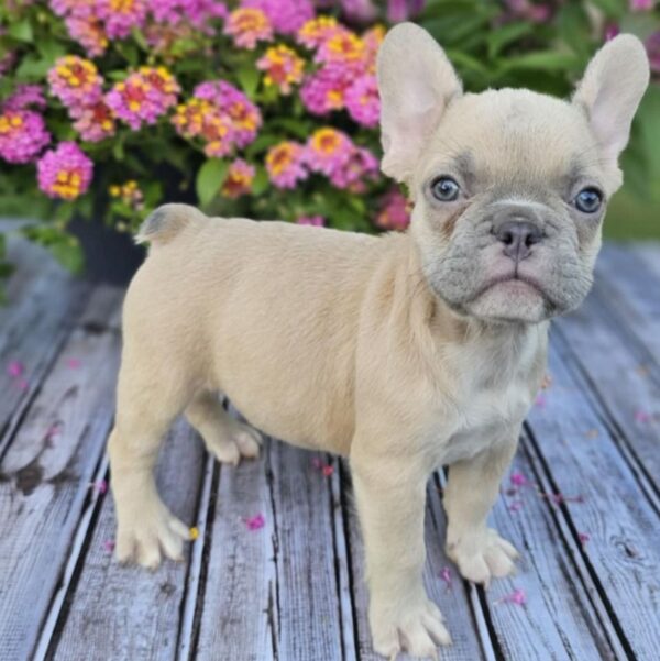Betty